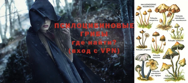 2c-b Абинск