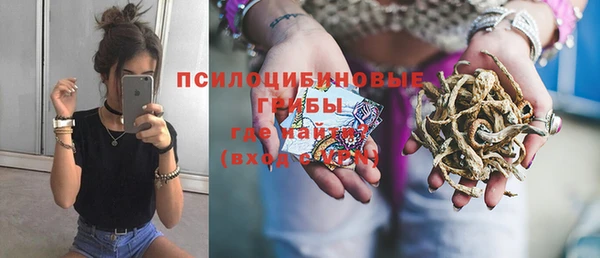 дурь Абаза