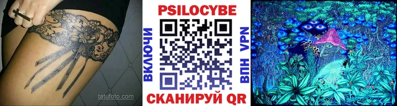 Псилоцибиновые грибы прущие грибы  Терек 